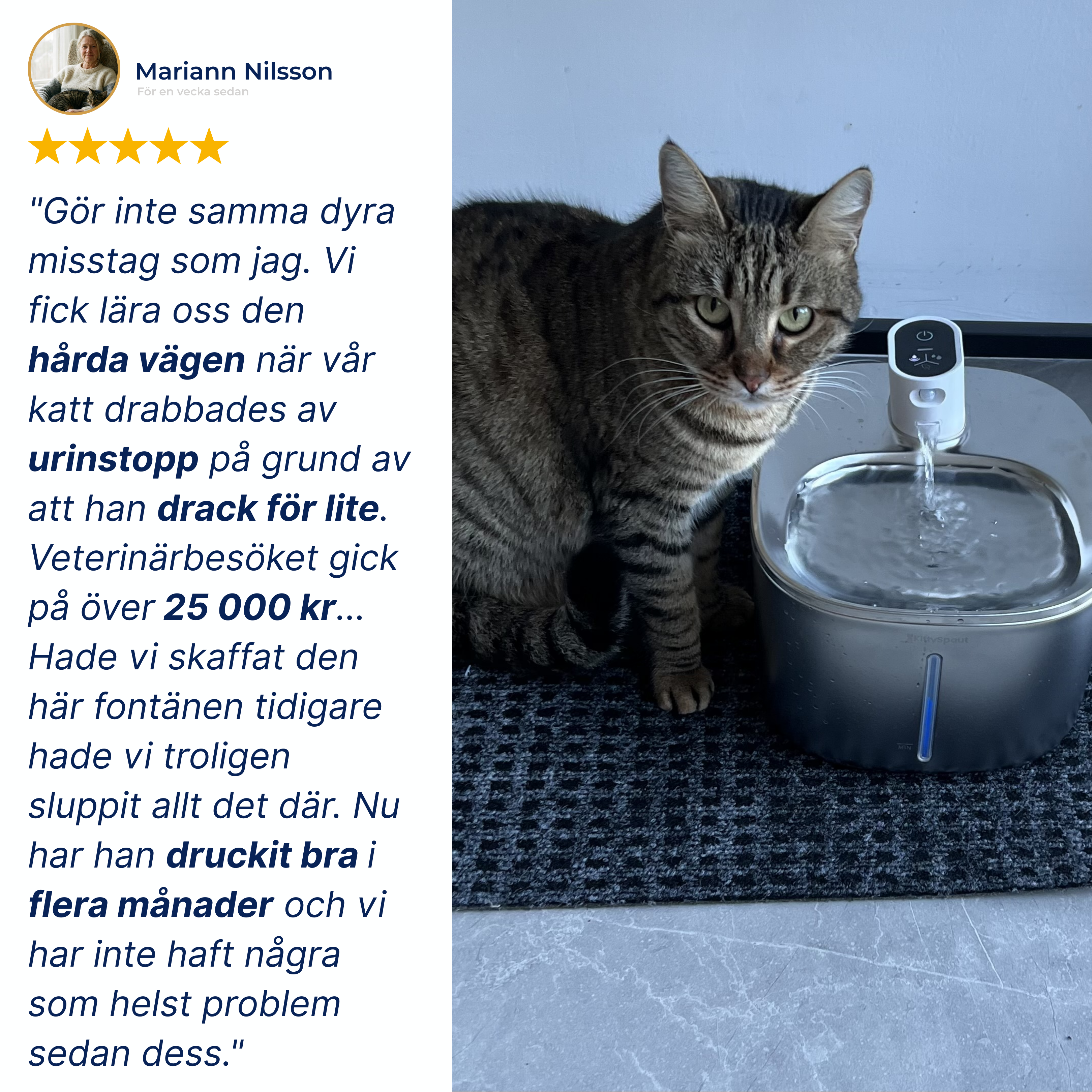Kattellas Trådlösa Vattenfontän I Rostfritt Stål