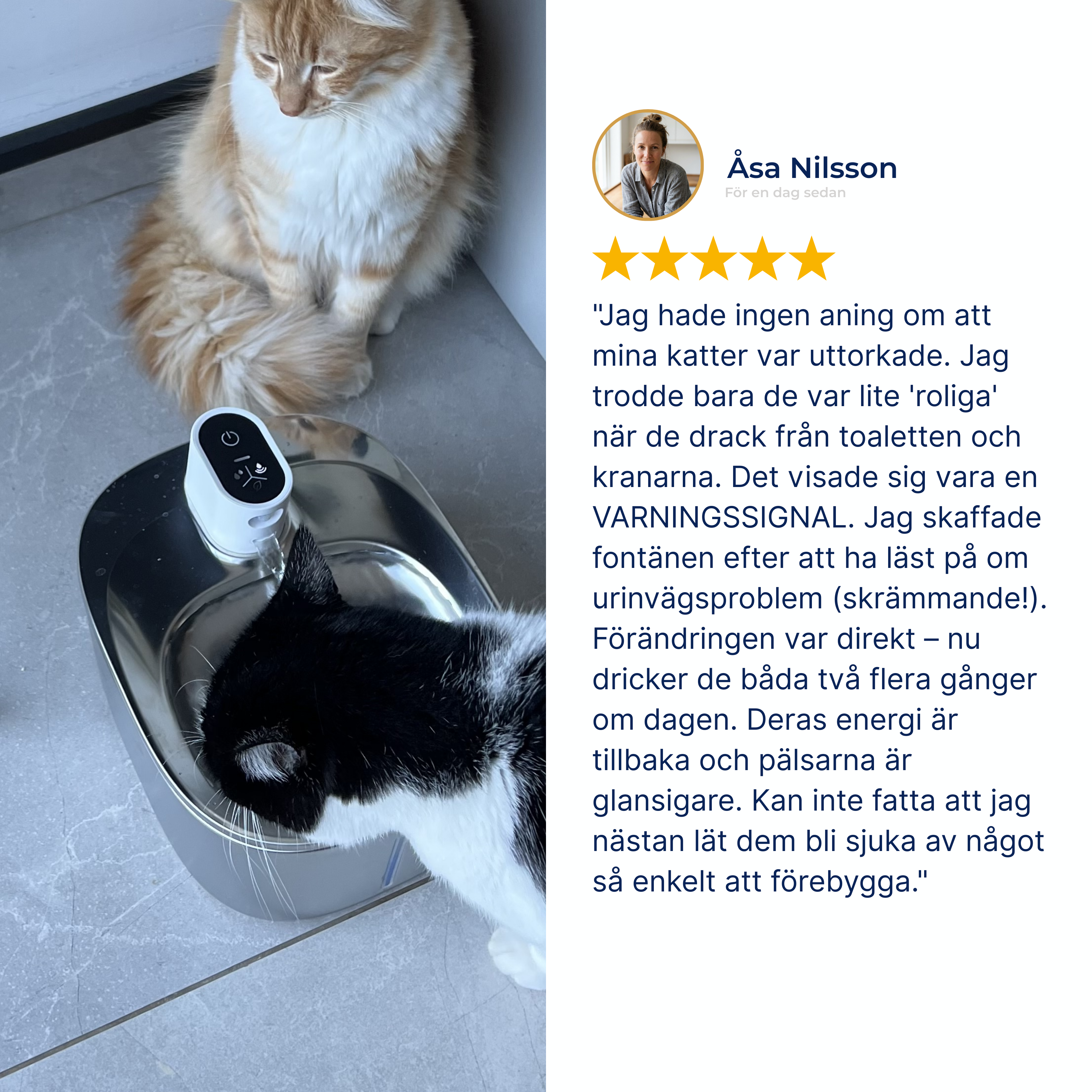 Kattellas Trådlösa Vattenfontän I Rostfritt Stål