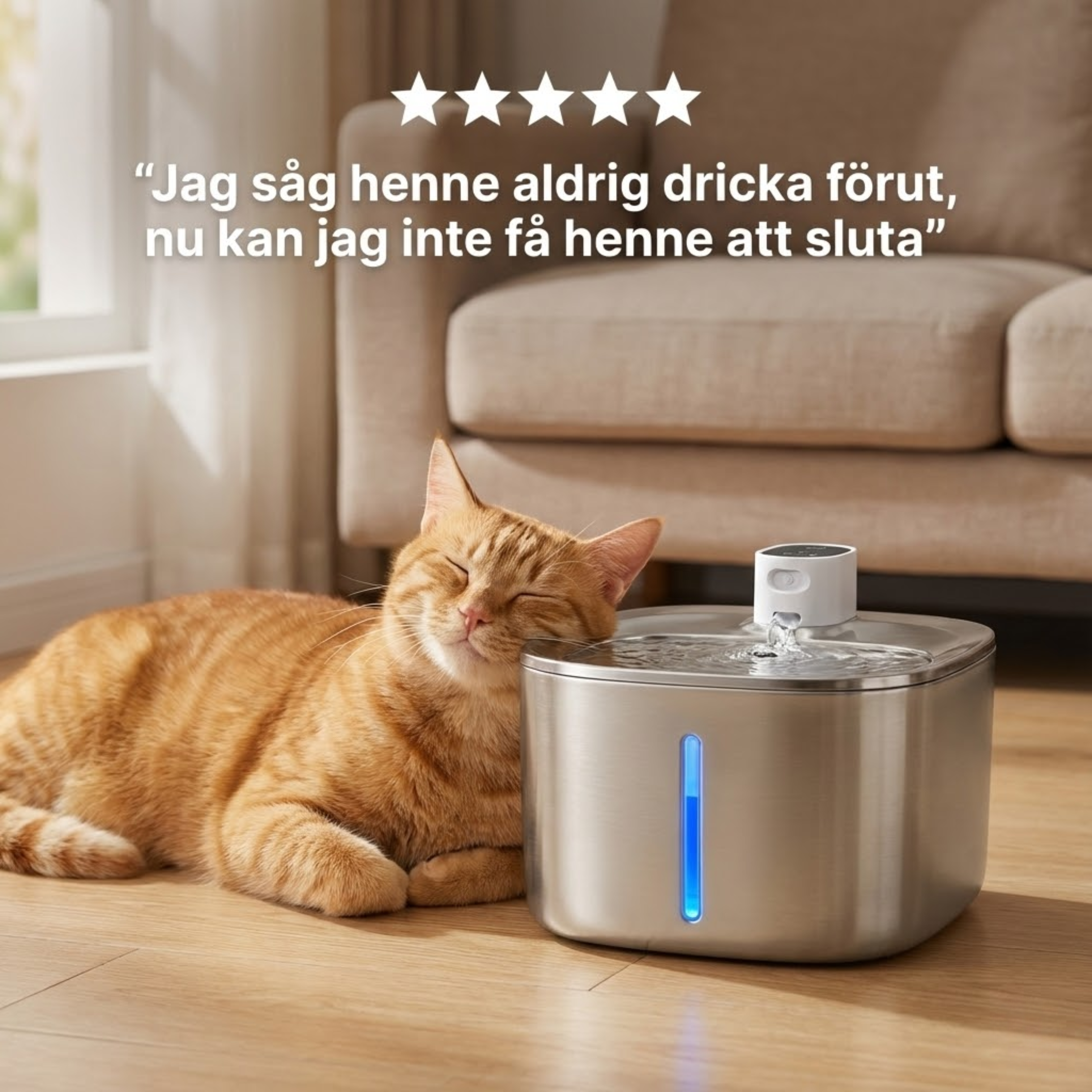 Kattellas Trådlösa Vattenfontän I Rostfritt Stål