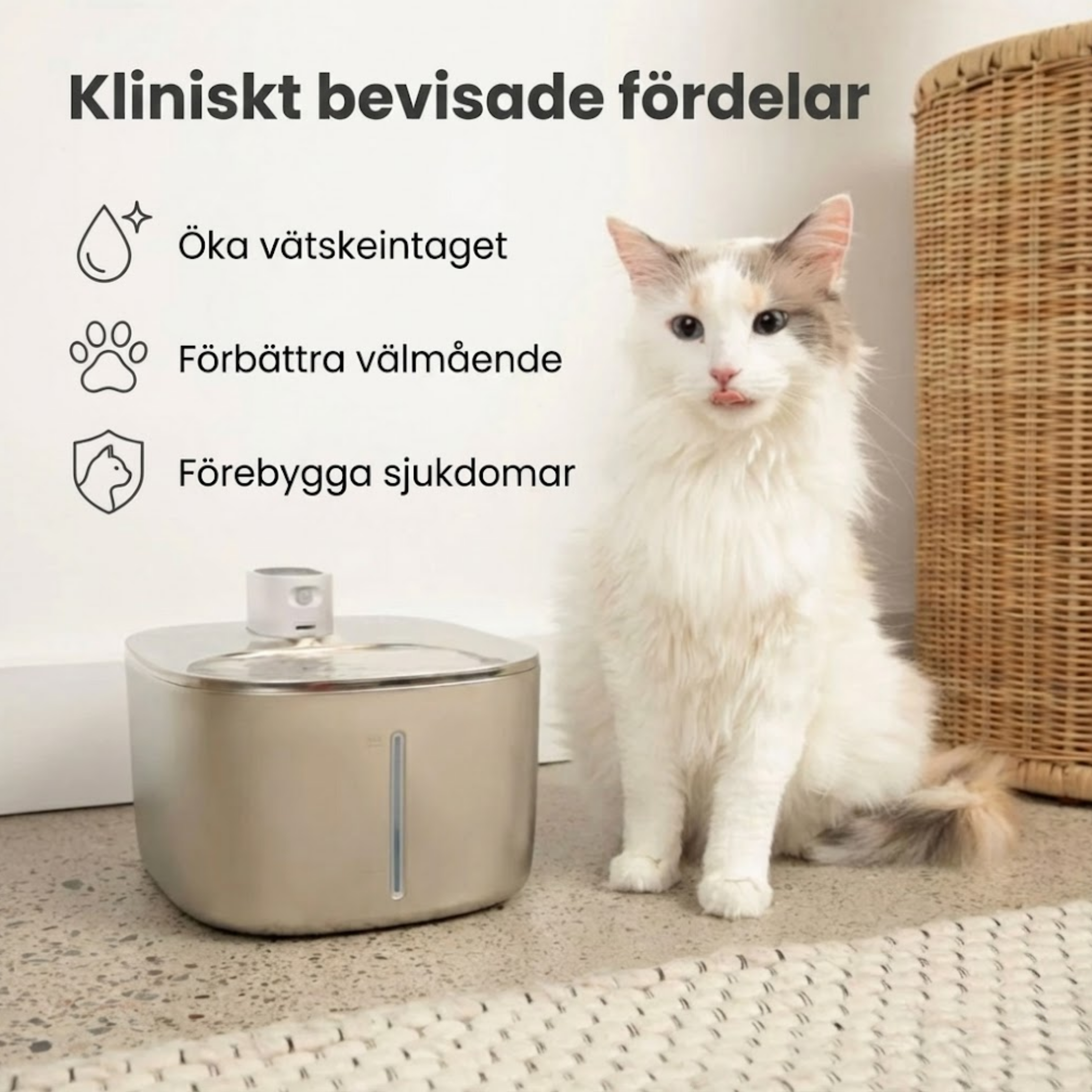 Kattellas Trådlösa Vattenfontän I Rostfritt Stål