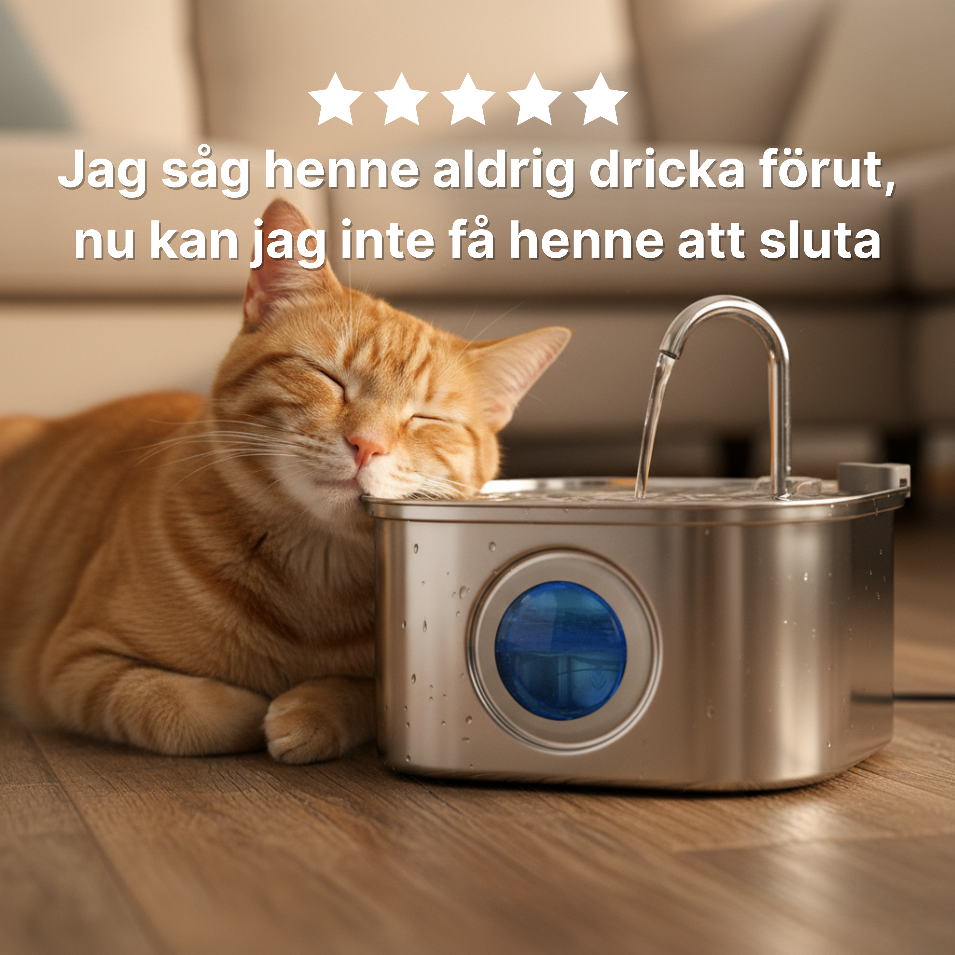 Kattellas Vattenfontän i Rostfritt Stål