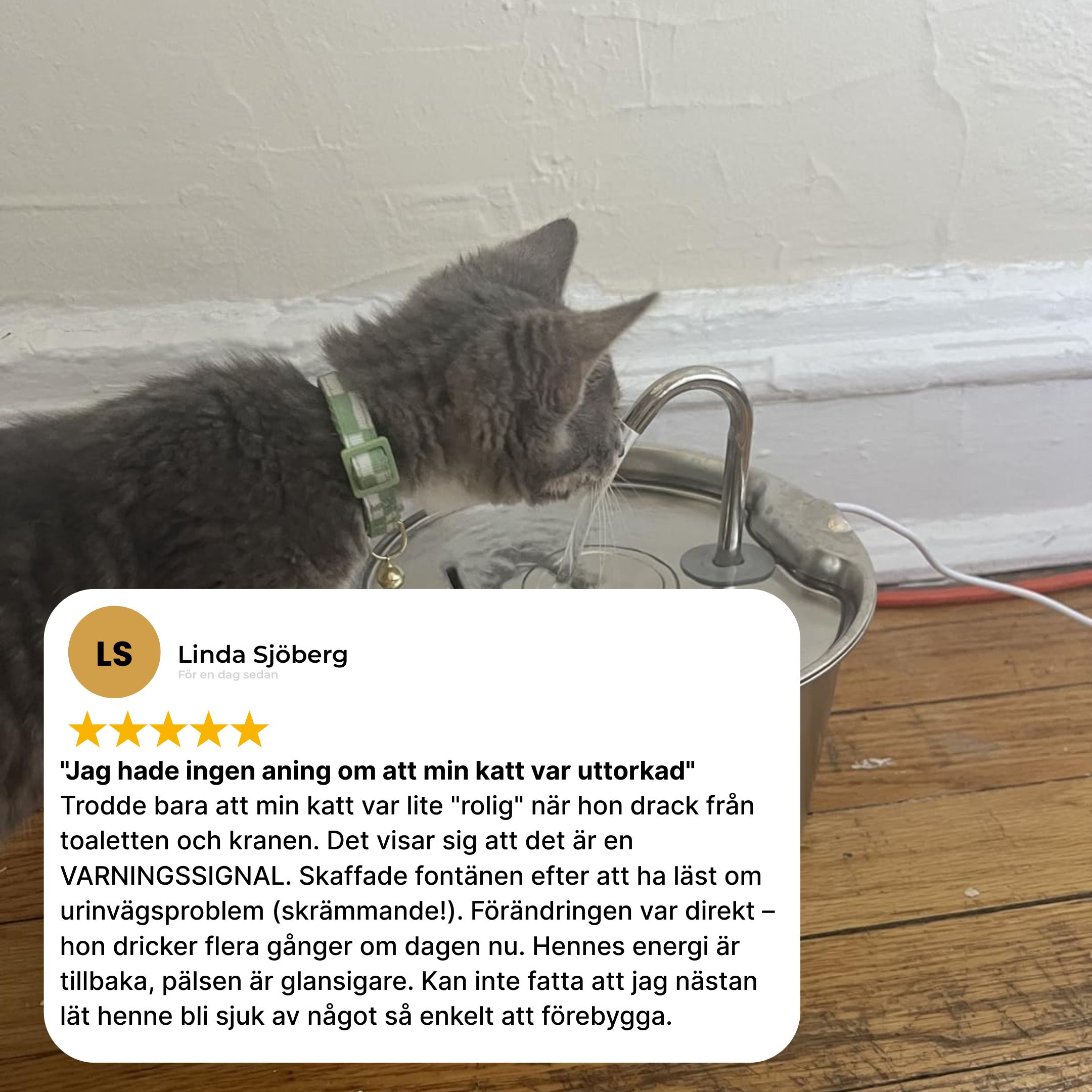 Kattellas Vattenfontän i Rostfritt Stål