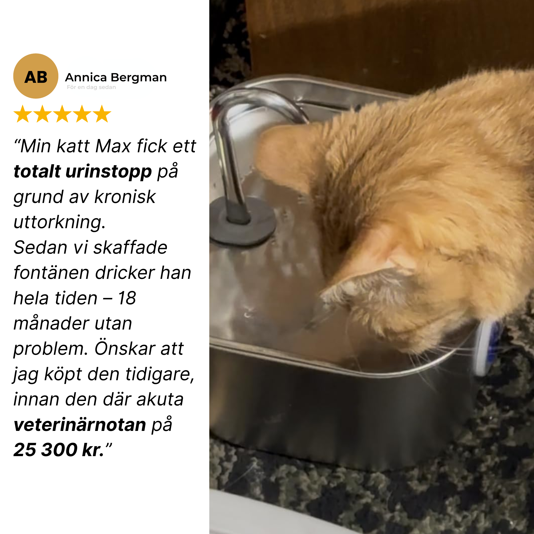 Kattellas Vattenfontän i Rostfritt Stål