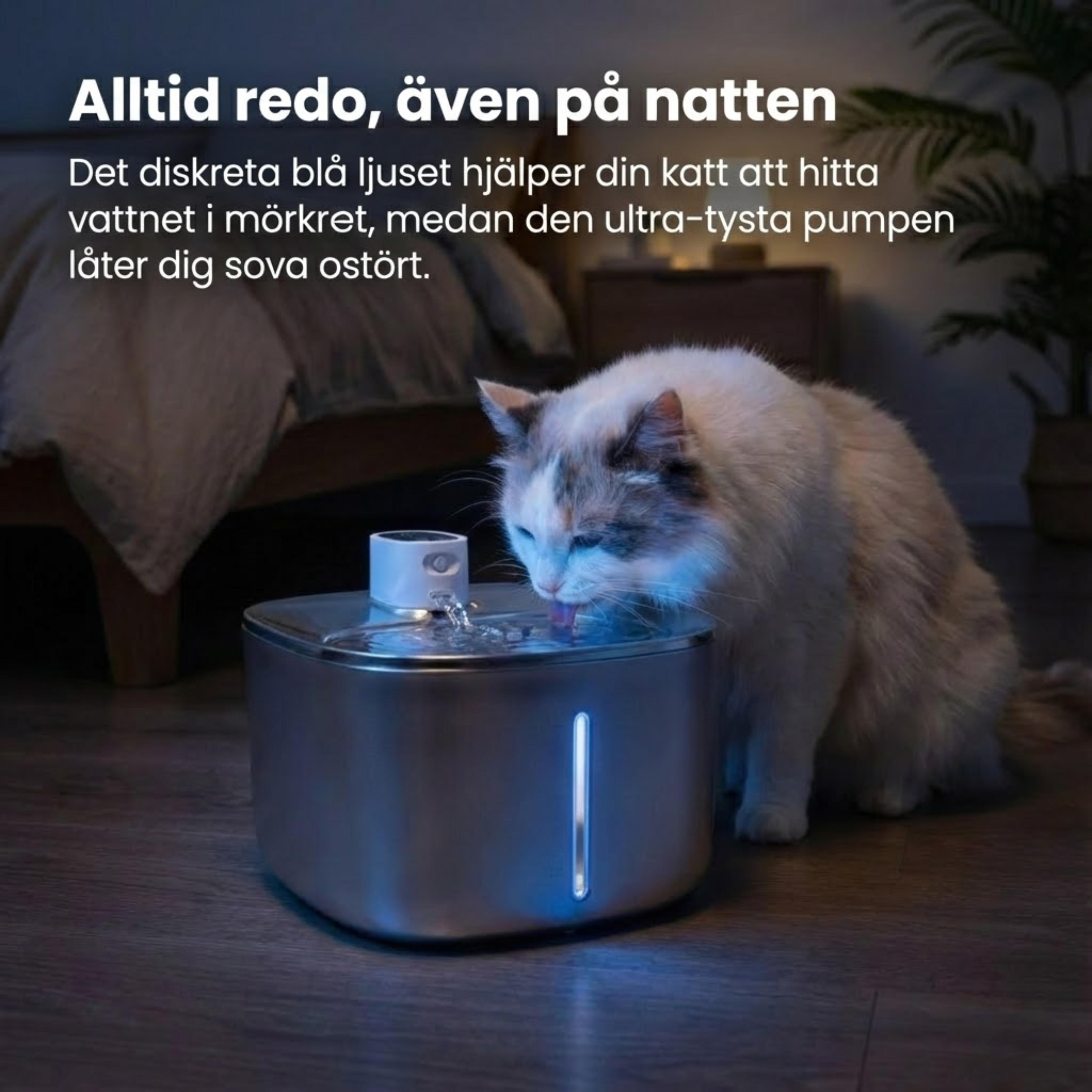 Kattellas Trådlösa Vattenfontän I Rostfritt Stål