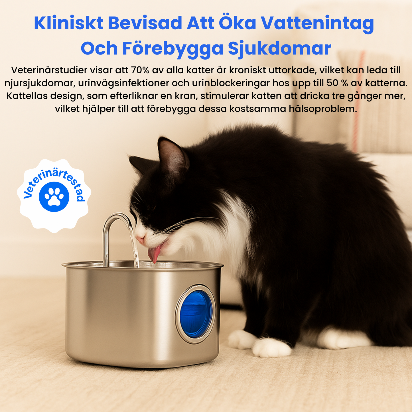 Kattellas Vattenfontän i Rostfritt Stål