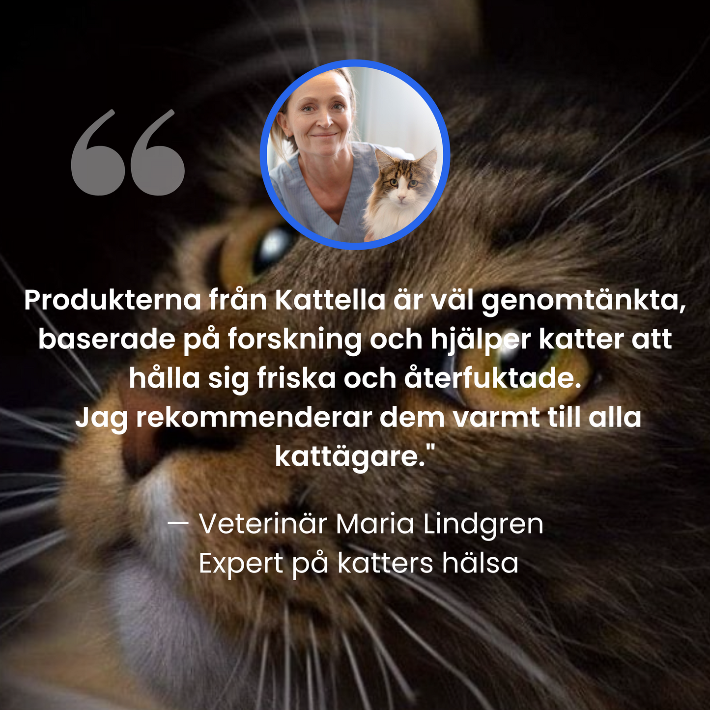 Kattellas Vattenfontän i Rostfritt Stål