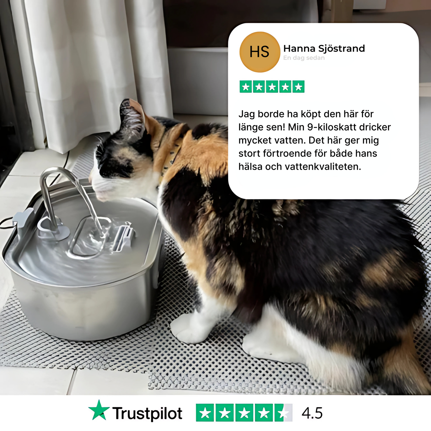 Kattellas Vattenfontän i Rostfritt Stål