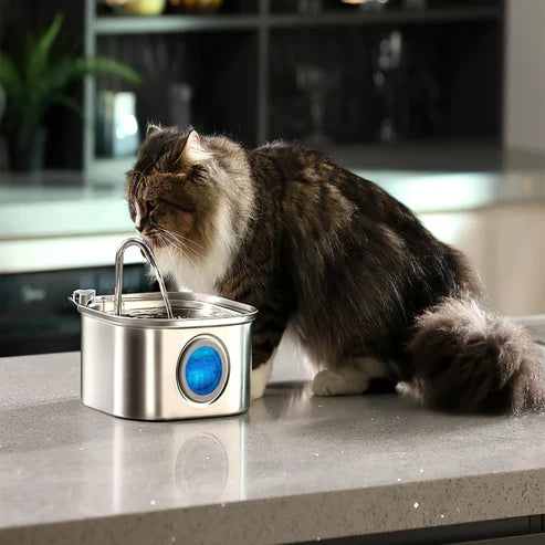 Kattellas Vattenfontän i Rostfritt Stål
