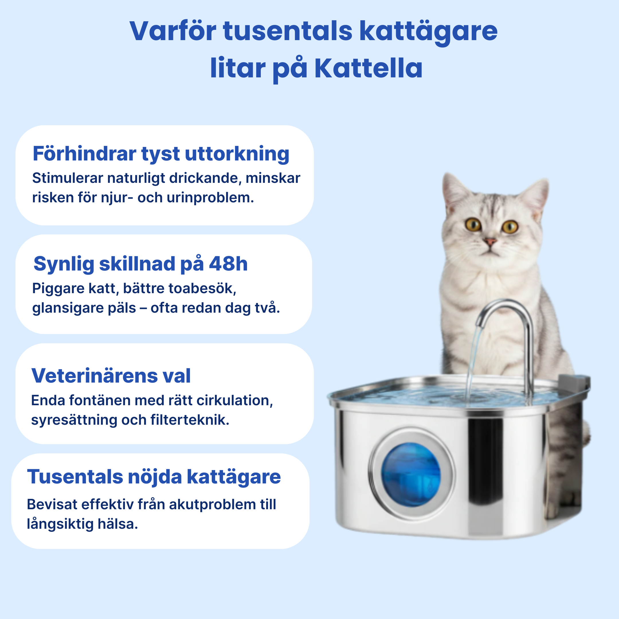 Kattellas Vattenfontän i Rostfritt Stål
