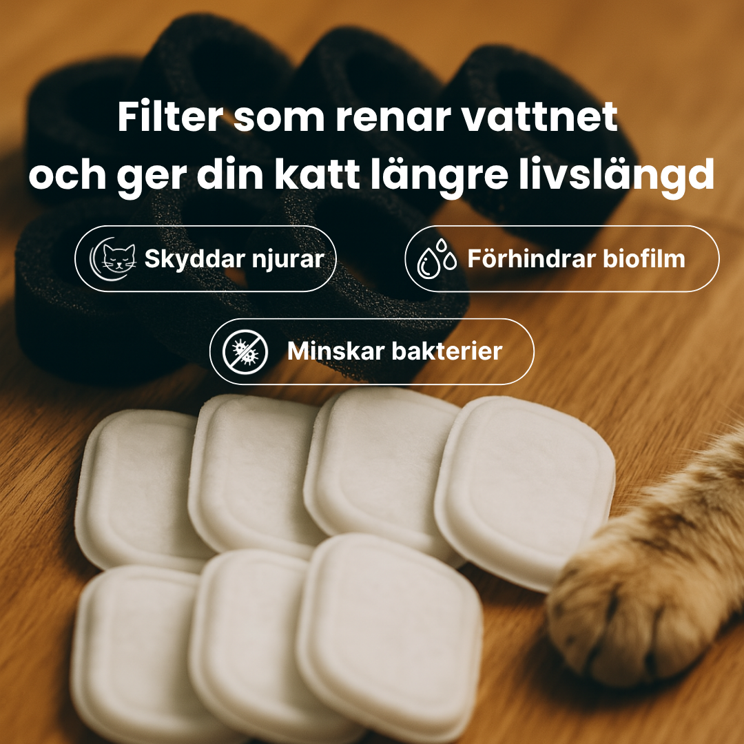 Kattellas Vattenfontän i Rostfritt Stål